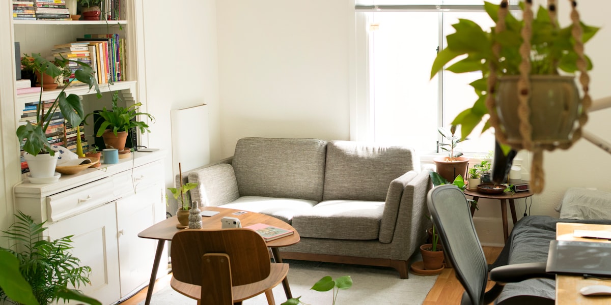 Aufgeräumtes helles Wohnzimmer mit Sofa, Zimmerpflanzen und Bücherregal