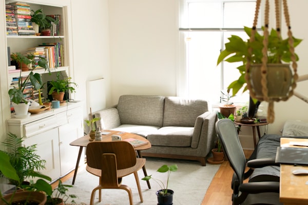 Aufgeräumtes helles Wohnzimmer mit Sofa, Zimmerpflanzen und Bücherregal
